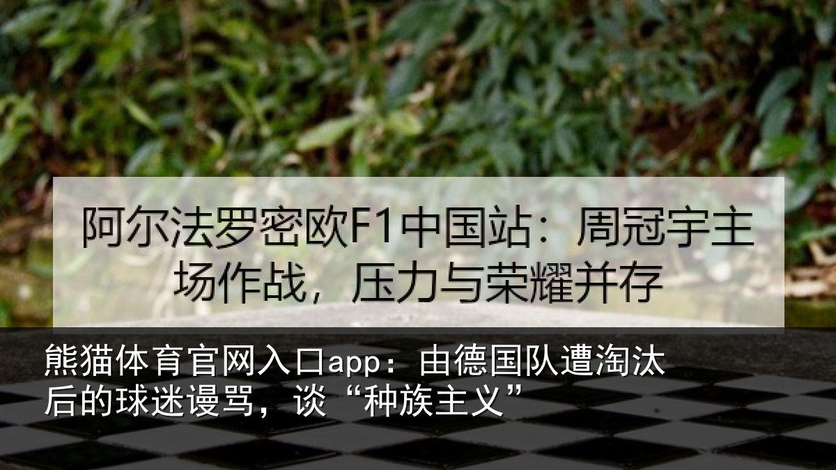 熊猫体育官网入口app：由德相关情况迷谩骂，谈“种族主义”